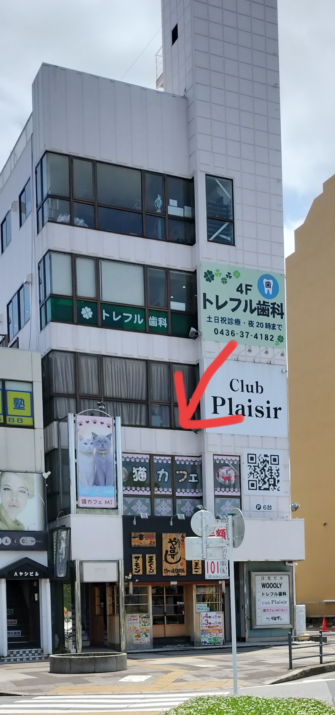 猫カフェ（姉ヶ崎駅前）2025/6/1